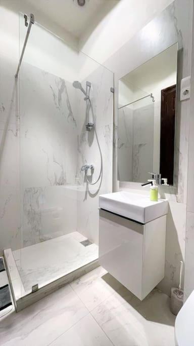 New, 195 Sqm, Full Center Of Apartament Budapesta